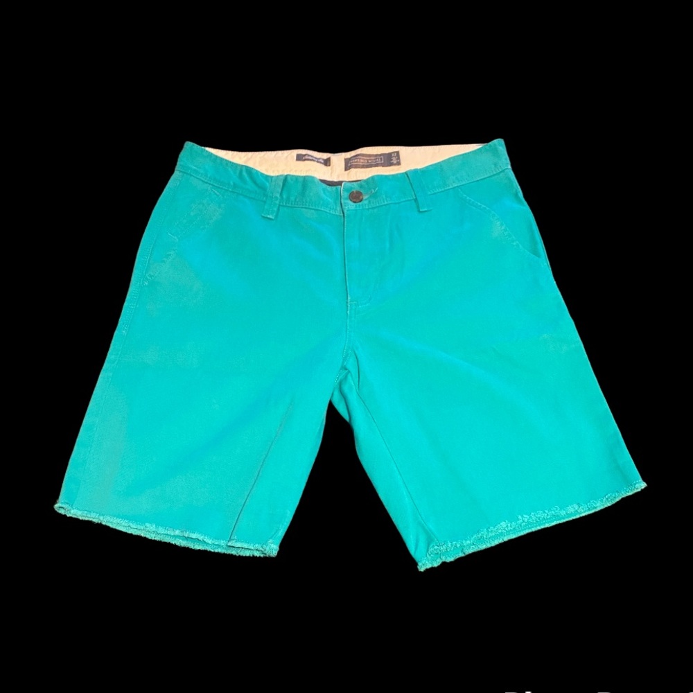 Hawkins McGill Tailored Fit Mens’ Chino Shorts in Turquoise (Size 32)